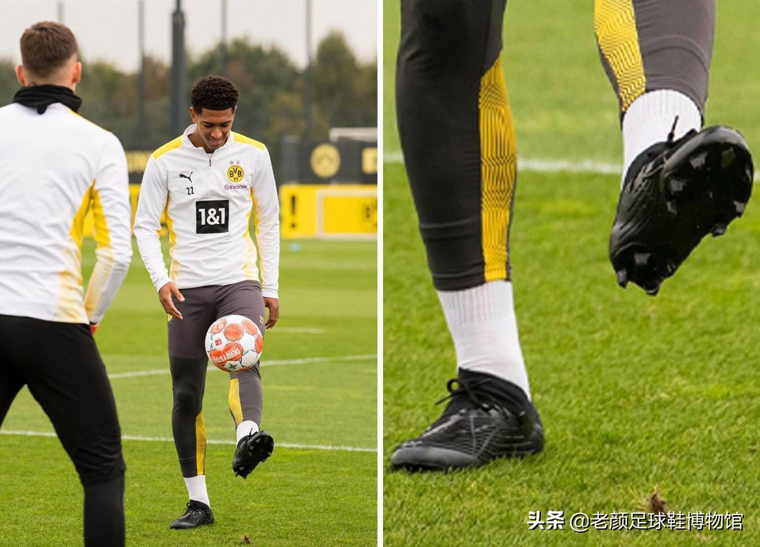 以来都是马 以来都是马