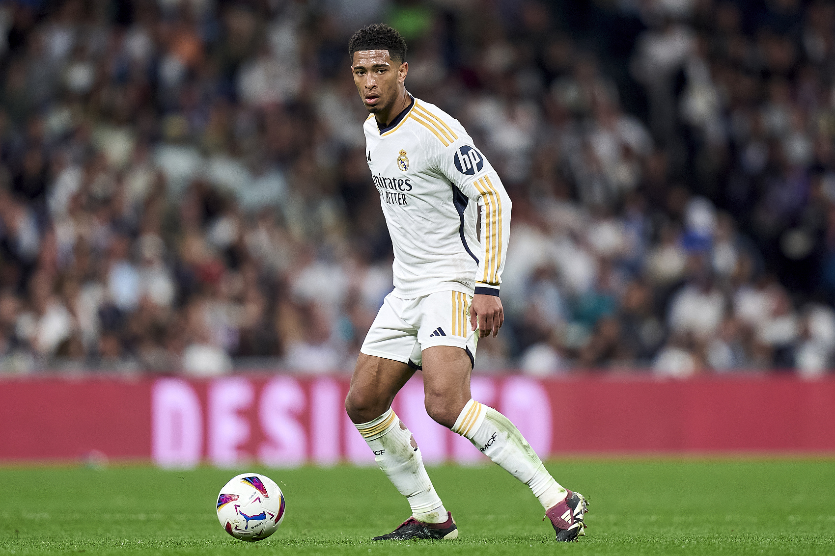 事业发展的 事业发展的